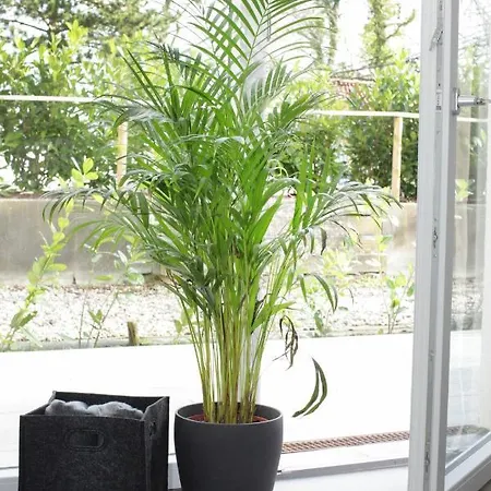 아파트호텔 Voss-haus